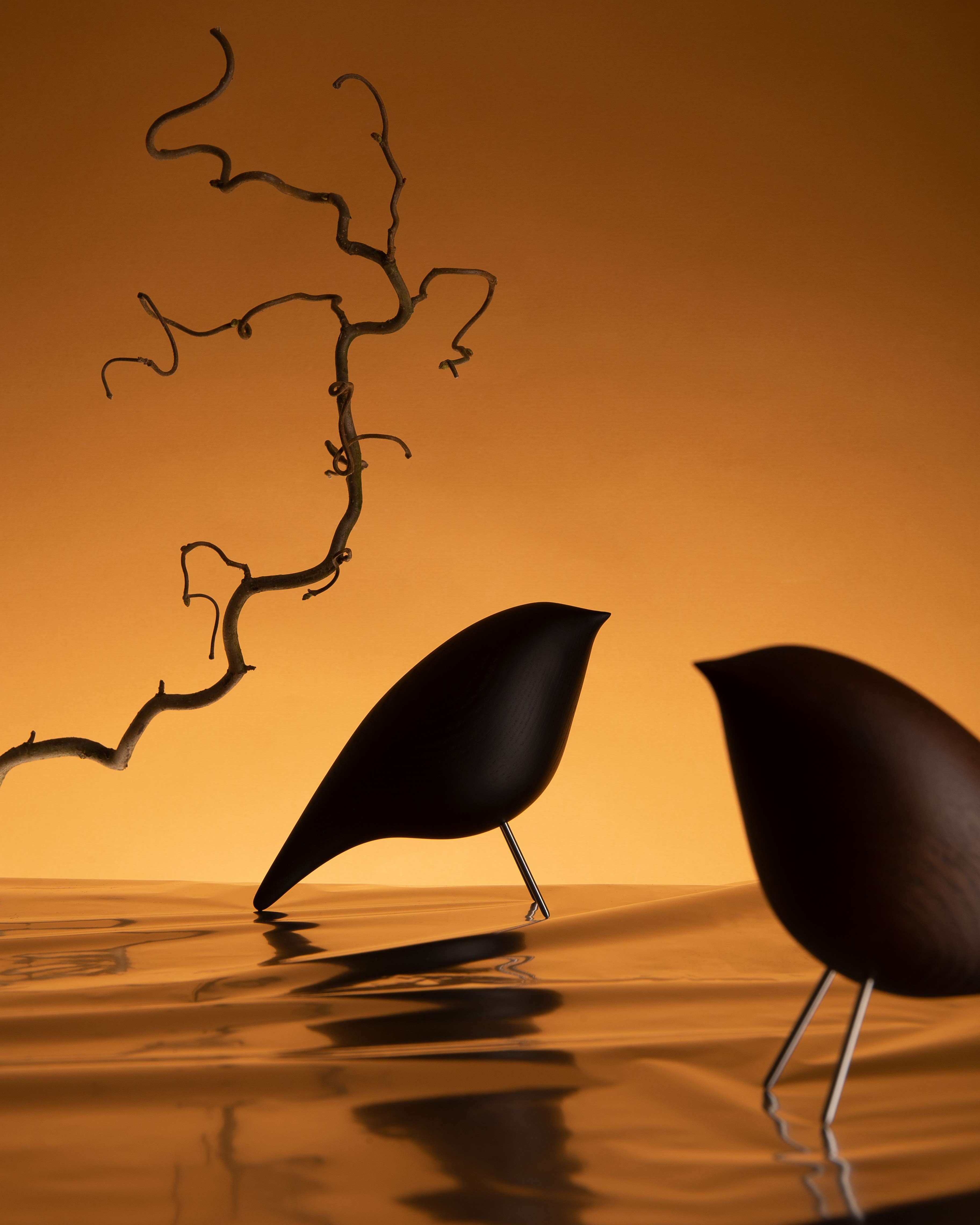 Tweety Decorative Bird CS3