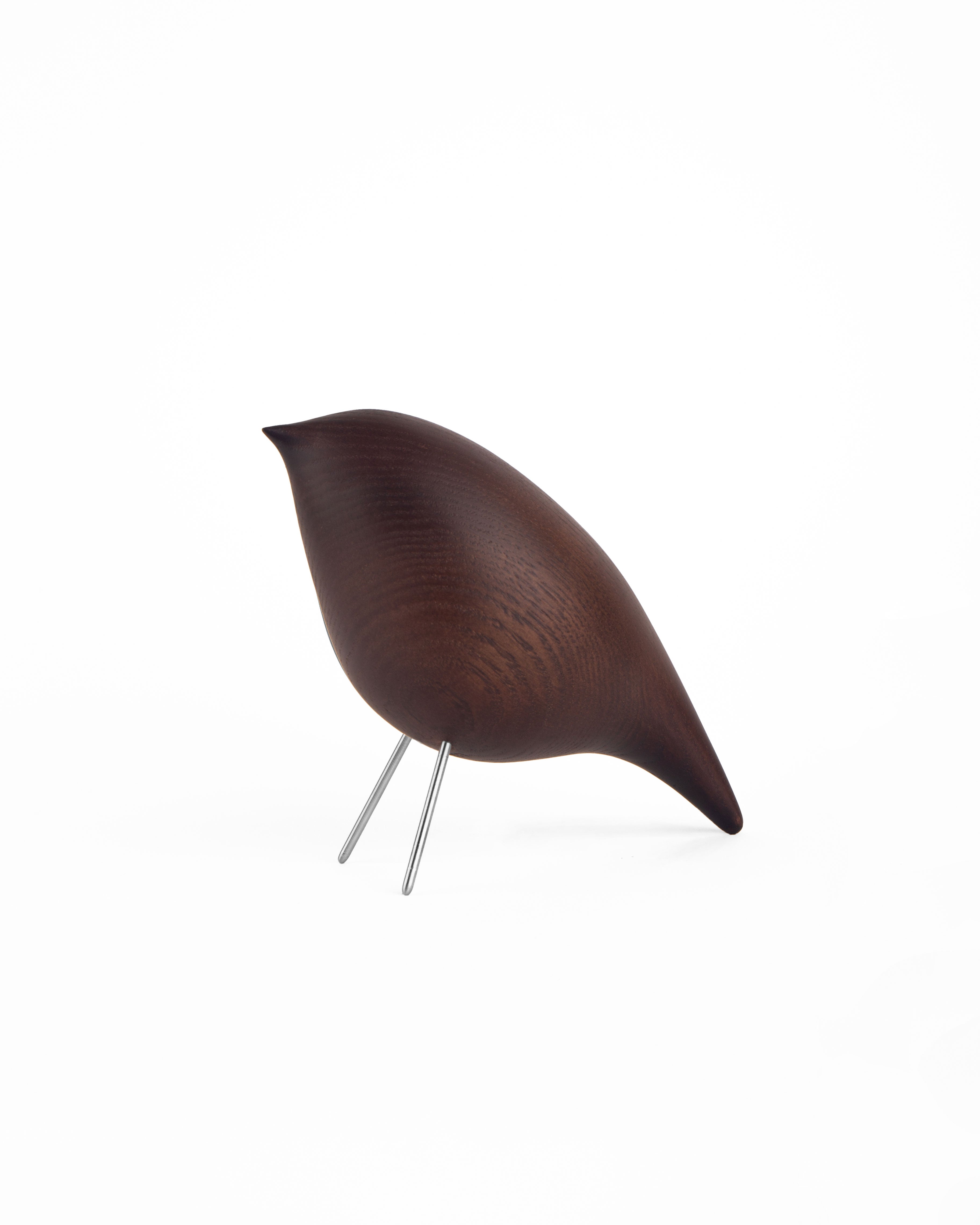 Tweety Decorative Bird CS2
