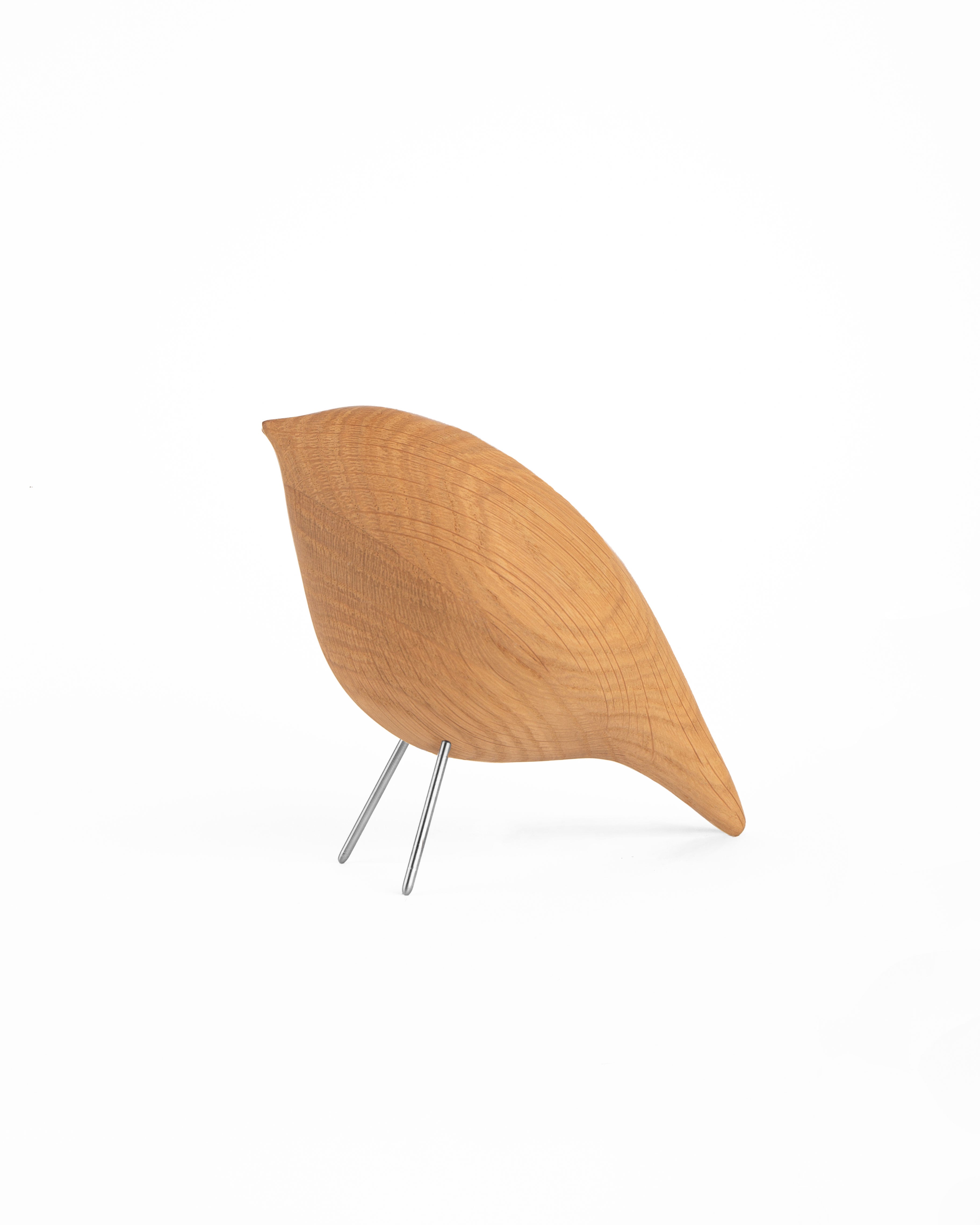 Tweety Decorative Bird CS4