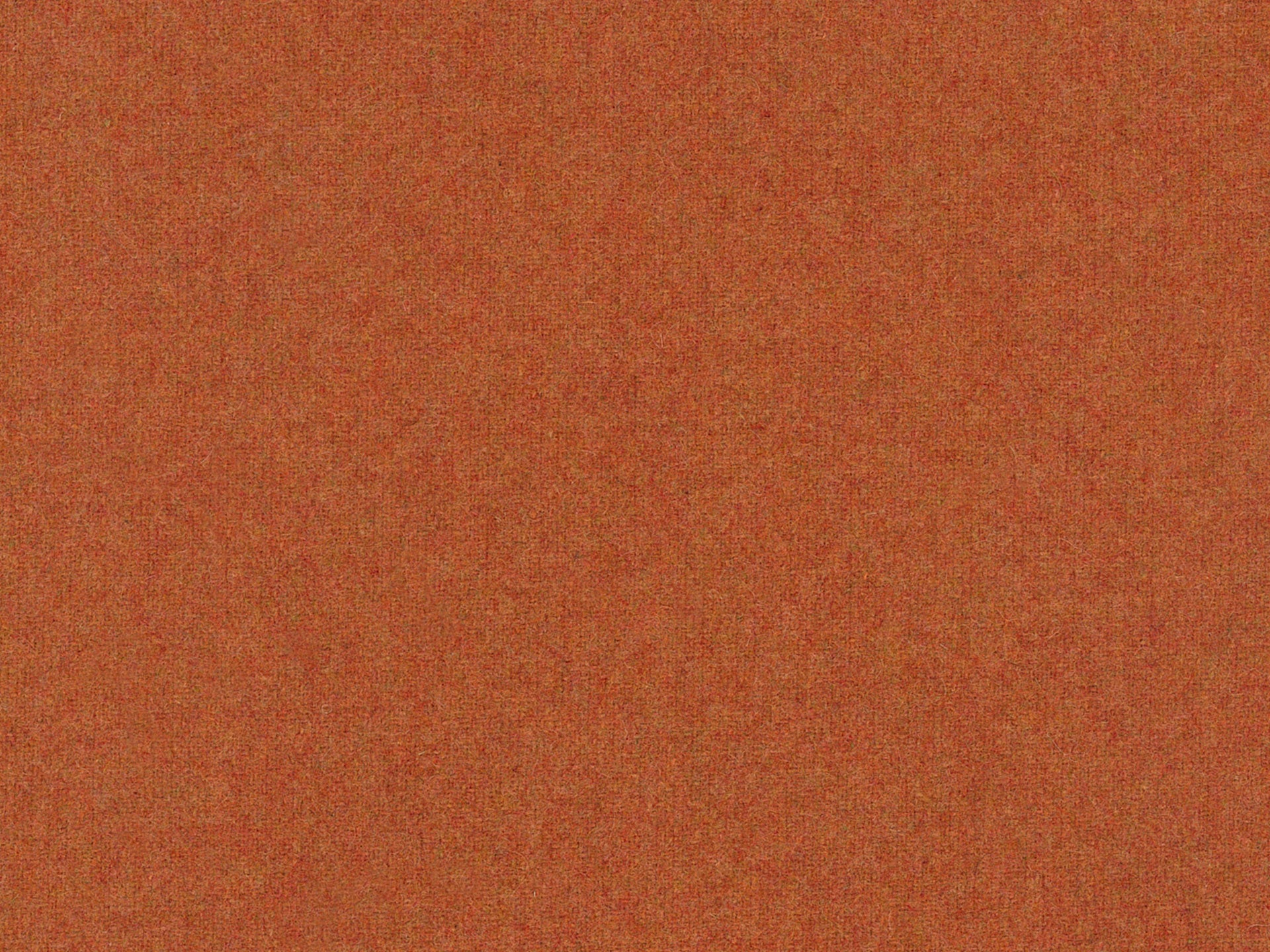 Wooland Orange