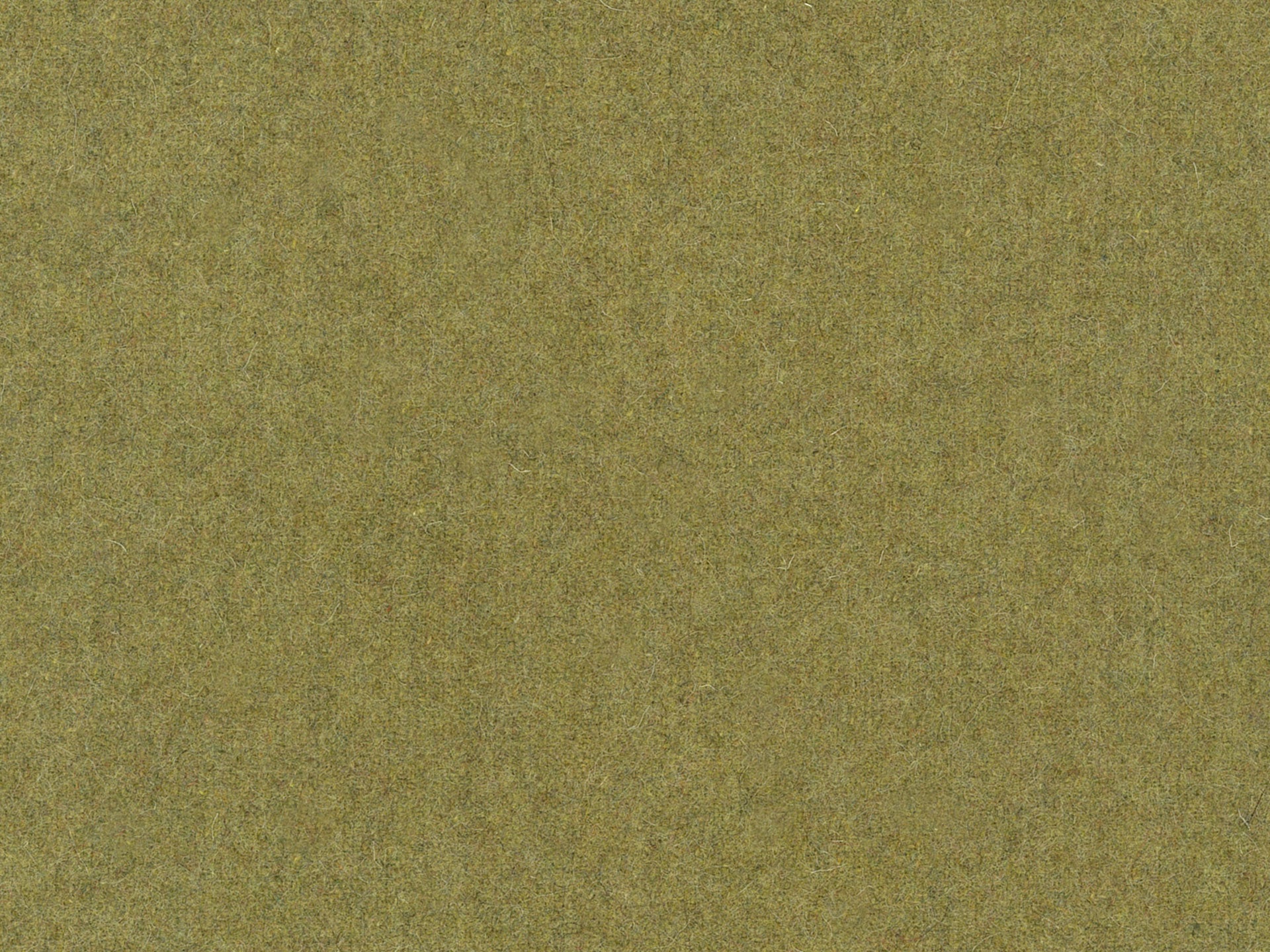Wooland Olive