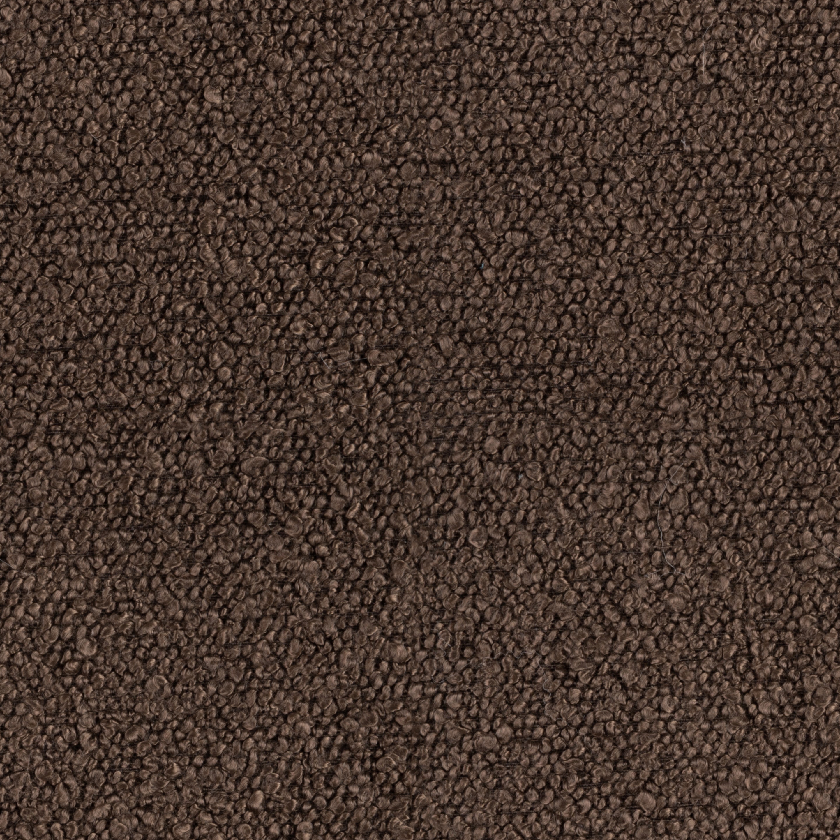 Baloo Brown 2080