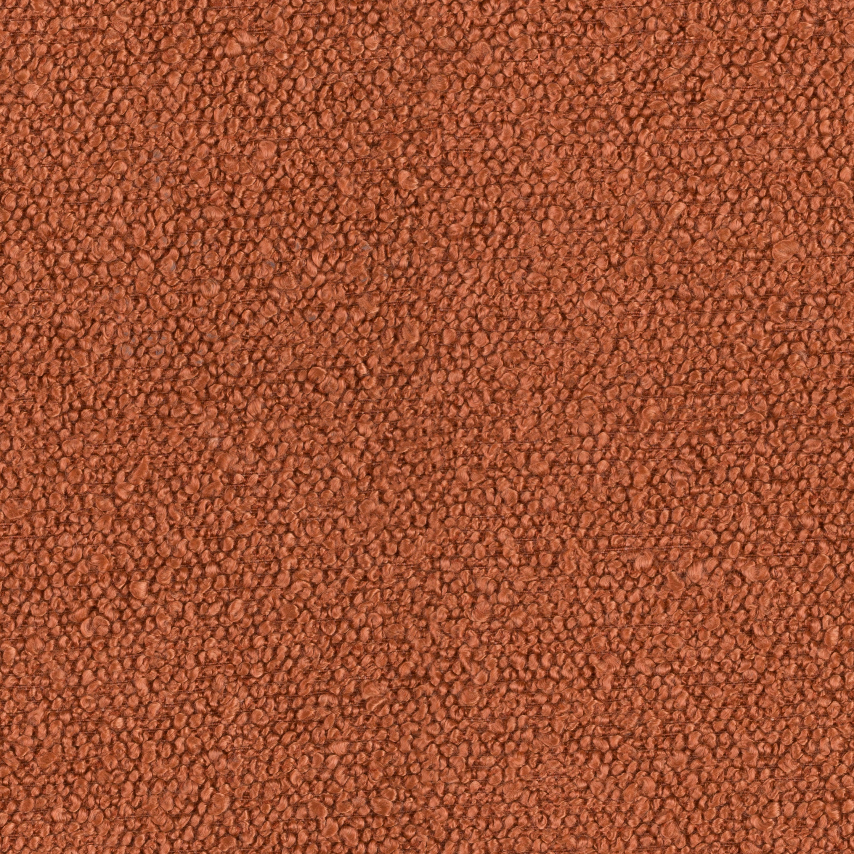 Baloo Orange 2078