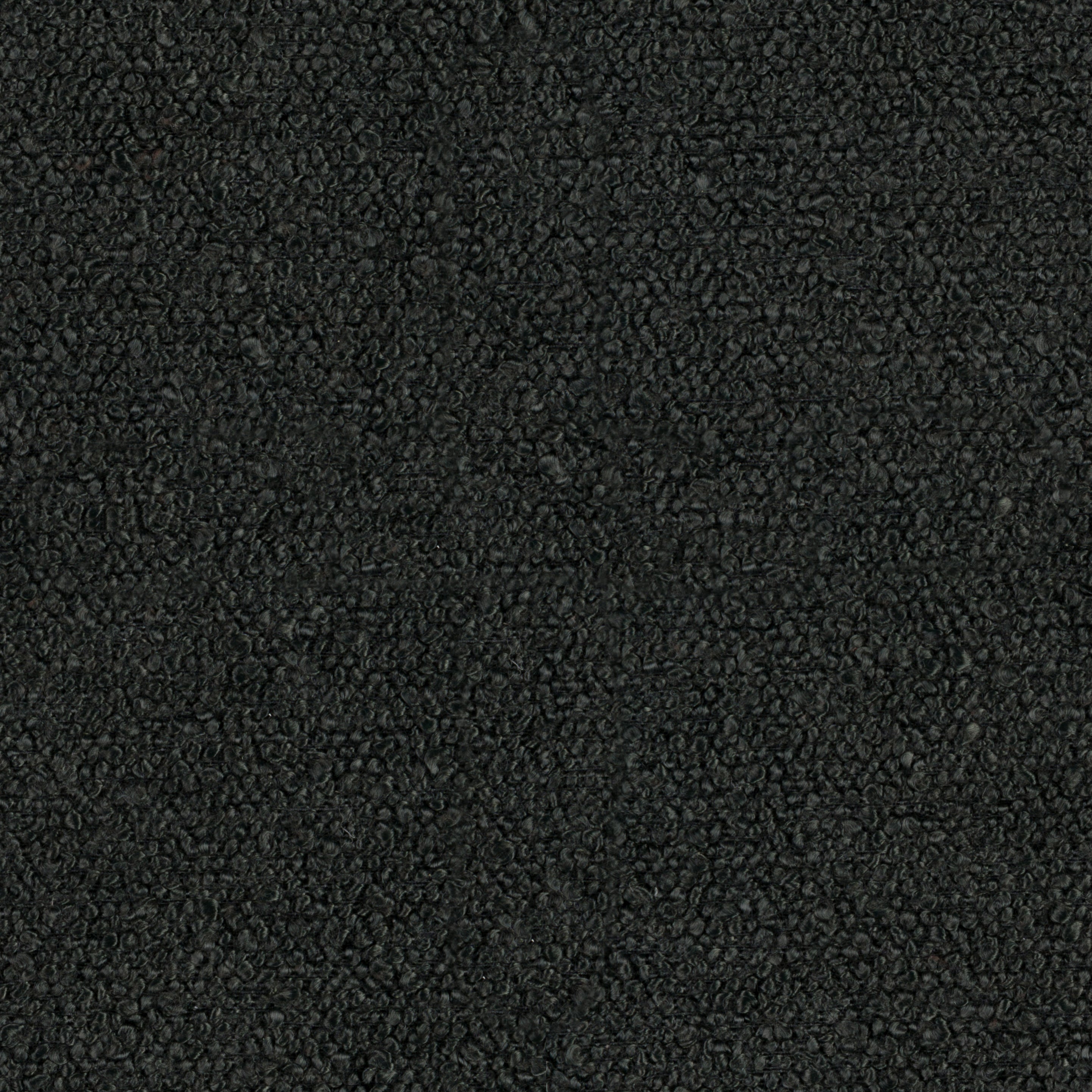 Baloo Black 2082