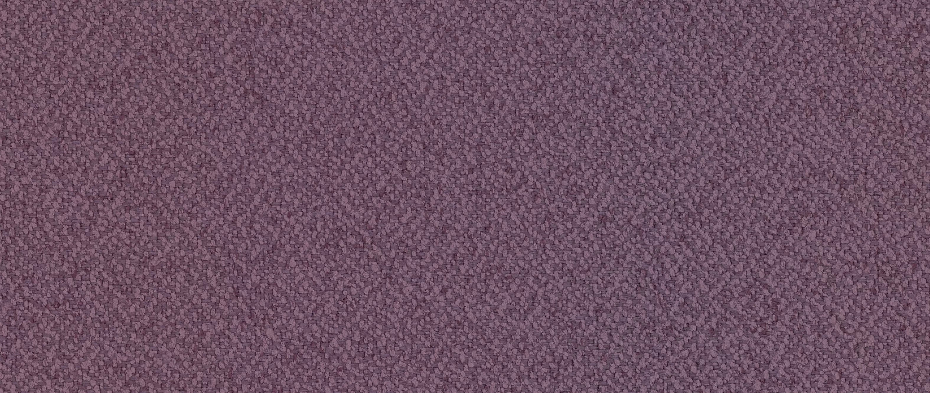 Today Purple
